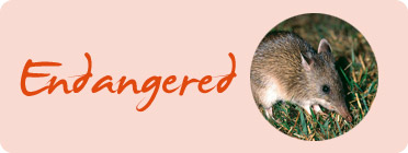 endangered