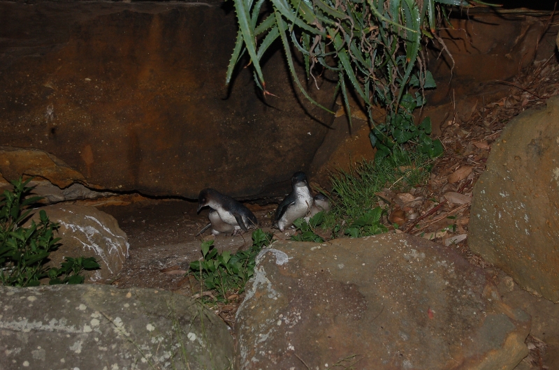 Balcony at Federation Point